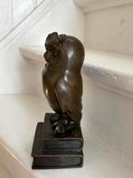 Bronzen Uil op Boeken, Antiek en Kunst, Antiek | Koper en Brons, Ophalen of Verzenden, Brons