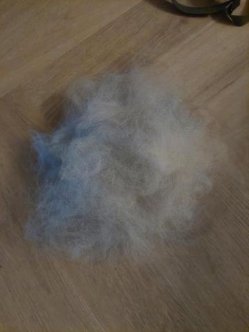 Australische Herder Wol - Ideaal voor Winterkleding beschikbaar voor biedingen