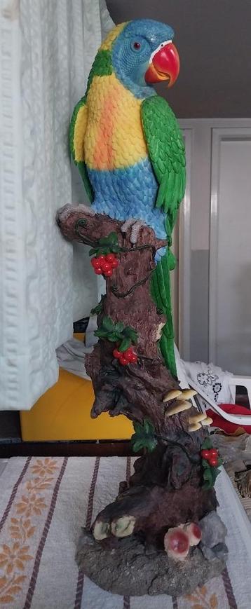 Ara,hond,kikker,krok,Franse bulldog,papegaai ,,,,,,,,enz beschikbaar voor biedingen