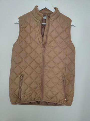 Nieuwe beige bodywarmer maat S beschikbaar voor biedingen