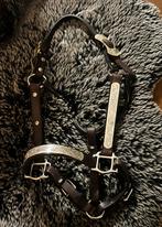 Western Show Halster, Dieren en Toebehoren, Paarden en Pony's | Hoofdstellen en Tuigage, Ophalen of Verzenden, Zo goed als nieuw