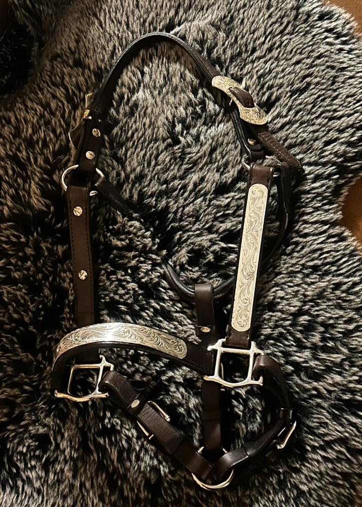 Western Show Halster, Dieren en Toebehoren, Paarden en Pony's | Hoofdstellen en Tuigage, Zo goed als nieuw, Western, Ophalen of Verzenden