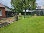 Groen Enkelstaafmat Hekwerk met Poort, Tuin en Terras, Ophalen, Met poort, Gebruikt, Enkelstaafmat hekwerk