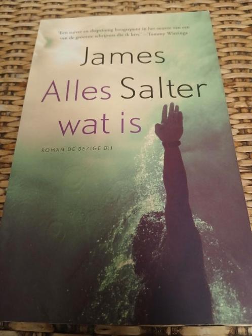 Alles wat is - James Salter, Boeken, Romans, Zo goed als nieuw, Nederland, Ophalen of Verzenden
