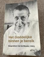 D. Moeder Goddelijke Binnen Je Bereik, Achtergrond en Informatie, Spiritualiteit algemeen, Wendy van Vliet, Ophalen of Verzenden