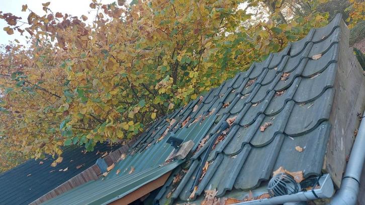 Gratis Dakpannen - Steen/Klei, Doe-het-zelf en Verbouw, Dakpannen en Dakbedekking, Gebruikt, Dakpannen, Steen of Klei, Grijs, 15 m² of meer