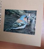 journal 2, Ophalen of Verzenden, Nieuw, Album of Boek