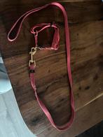 Tuigje met honden riem, Ophalen of Verzenden