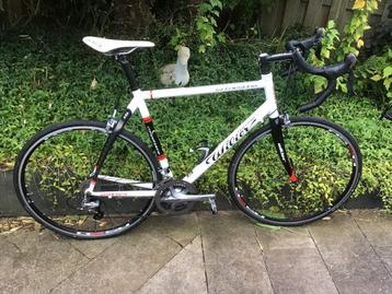 Willier La Triestina Competizione Ultegra met 57 cm frame beschikbaar voor biedingen