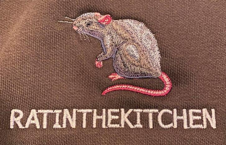 Plaagdier bestrijden ratten overlast, Diensten en Vakmensen, Ongediertebestrijding, Muizen of Ratten