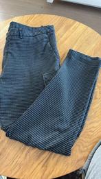 Cavallaro Napoli Pantalon, Chino, Broek, Heren, 54, Blauw, Maat 52/54 (L), Blauw, Ophalen of Verzenden, Zo goed als nieuw