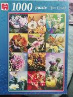 Flower Fairies puzzel Tom Cross  1000 stukjes  met engeltjes, Hobby en Vrije tijd, Denksport en Puzzels, Ophalen of Verzenden