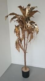 Gouden palm, Ophalen