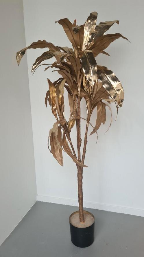 Gouden palm, Huis en Inrichting, Complete eetkamers, Ophalen