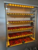 Vitrinekast met rood pluche, Huis en Inrichting, Kasten | Vitrinekasten, Ophalen, 25 tot 50 cm, 50 tot 100 cm