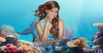 Tickets Musical Kleine Zeemeermin 21 juni Den Bosch, Tickets en Kaartjes, Theater | Musical, Twee personen, Juni