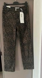 Nieuwe broek Maat 40, Monday, Nieuw, Lang, Ophalen