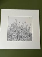 Reproductie Jopie Huisman in passepartout, Ophalen of Verzenden