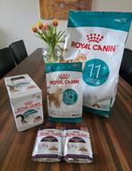 Royal Canin katten droogvoer en natvoer, Ophalen of Verzenden, Kat