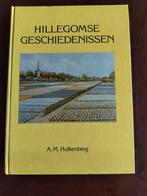 Hillegomse Geschiedenissen - A.M. Hulkenberg, Ophalen of Verzenden, Gelezen, A.M. Hulkenberg, Zuid-Holland