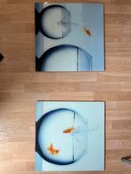 Set van twee mooie foto’s van vissen, Huis en Inrichting, Woonaccessoires | Schilderijen, Tekeningen en Foto's, Minder dan 50 cm
