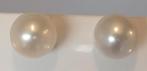 Grote witte Parel oorbellen, 13 mm, zilver, Verzenden, Wit, Nieuw, Met edelsteen
