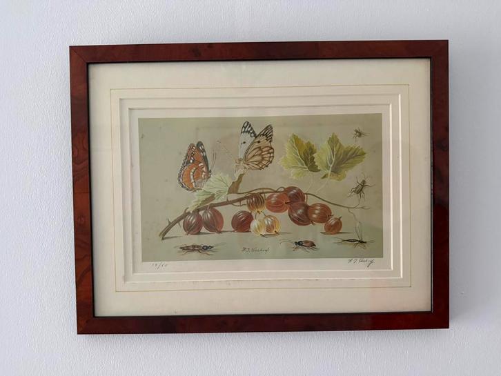 Litho 12/50 van Hans Verhoef, Antiek en Kunst, Kunst | Etsen en Gravures, Ophalen of Verzenden