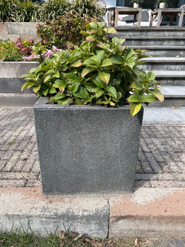 2 Kunststof Bloembakken Vierkant met hortensia 40x 40, Tuin en Terras, Bloembakken en Plantenbakken, Zo goed als nieuw, Beton