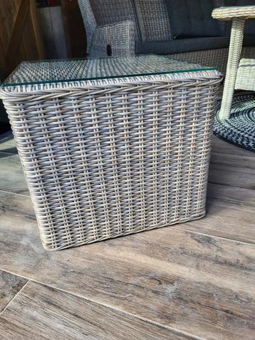 Intratuin Tafel met Glazen Plaat - 50x50x45cm beschikbaar voor biedingen