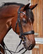 Stang & trens hoofdstel Bridle2Fit met Neue Schüle bitten, Dieren en Toebehoren, Paarden en Pony's | Hoofdstellen en Tuigage, Ophalen of Verzenden