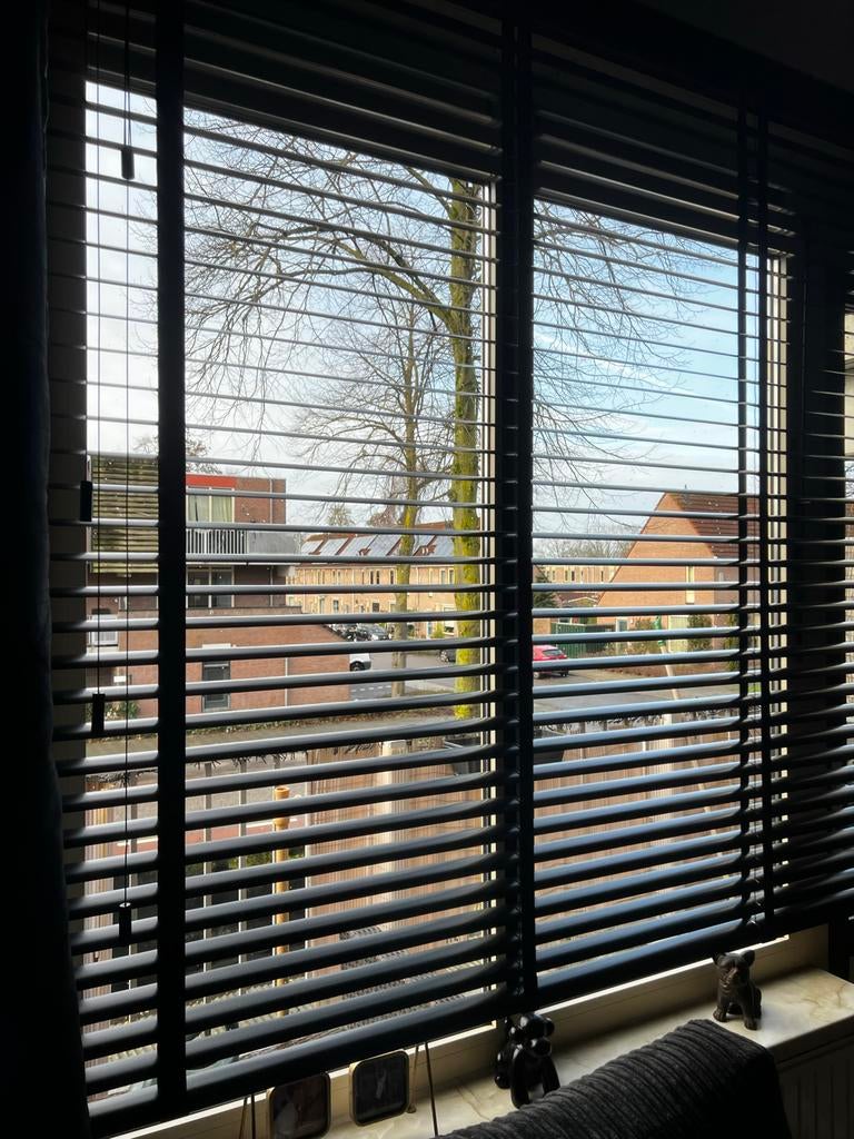 Jaloezieën mat zwart 2x, Ophalen, Gebruikt, Zwart, 150 tot 200 cm