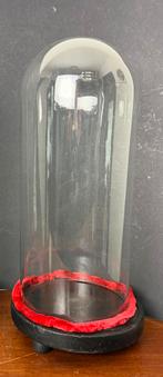 Antieke stolp - hout glas, Ophalen