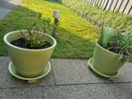 2 vorstvrije GROTE bloempotten met schotel en losse voetjes, Gebruikt, Tuin, Rond, Minder dan 40 cm