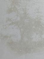 Jan Henkel Litho - Landschap 1977, Ophalen of Verzenden