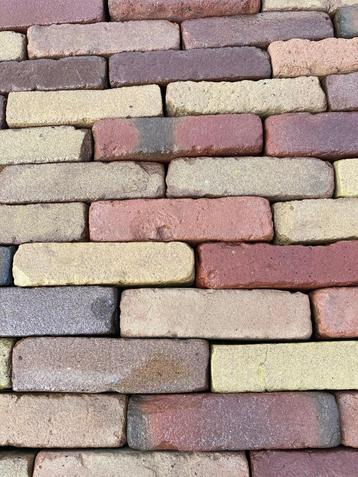 Waalformaat bont (P27) beschikbaar voor biedingen