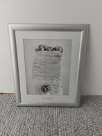 Schilderij Anne Geddes, Ophalen, Minder dan 50 cm, Nieuw, Foto of Poster