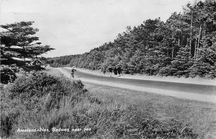 377-073-015 Ameland Nes Badweg naar Zee, Verzamelen, Ansichtkaarten | Nederland, Friesland, Voor 1920, Ophalen of Verzenden