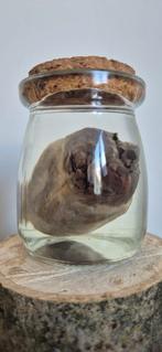 Te koop: Grauwe ganzen hart, Verzamelen, Ophalen of Verzenden, Nieuw, Beeldje of Figuurtje