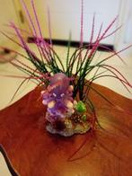 Nieuwe Deco Octopus, Dieren en Toebehoren, Vissen | Aquaria en Toebehoren, Ophalen, Nieuw