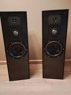 luidsprekers zelfbouw, seas ca22rnx, visaton dsm 50 ffl, Gebruikt, 60 tot 120 watt, Front, Rear of Stereo speakers, Ophalen
