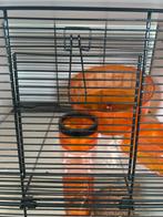 Hamster hok, Dieren en Toebehoren, Ophalen, 60 tot 90 cm, Minder dan 75 cm, Zo goed als nieuw