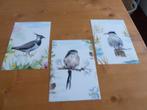 ansichtkaarten/postkaarten vogels, Verzenden, 1980 tot heden, Ongelopen, Vogel