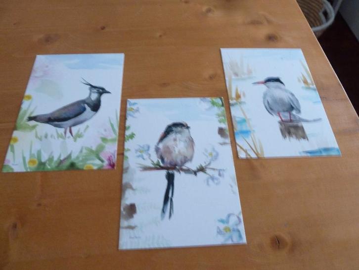 ansichtkaarten/postkaarten vogels, Verzamelen, Ansichtkaarten | Dieren, Ongelopen, 1980 tot heden, Vogel, Verzenden