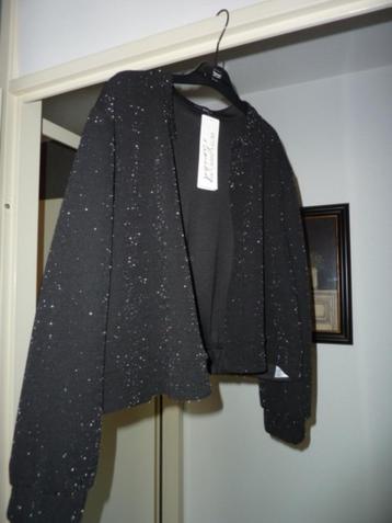 Betty Barclay vest met subtiele glitters Nieuw maat 46 beschikbaar voor biedingen