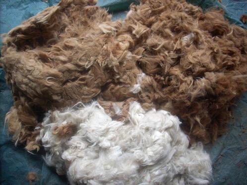 Alpaca wol vulwol hooikist pannenstoof alpacawol allergie, Hobby en Vrije tijd, Knutselen, Nieuw, Materiaal, Ophalen of Verzenden