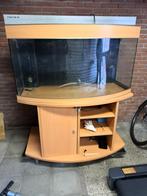 Aqua Medic Percula rond 120 cm, Dieren en Toebehoren, Ophalen of Verzenden, Gebruikt, Leeg aquarium