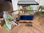 Terrarium gerbil / hamsterkooi met schuifraam van Queenies, Kooi, Gebruikt, Minder dan 75 cm, Hamster