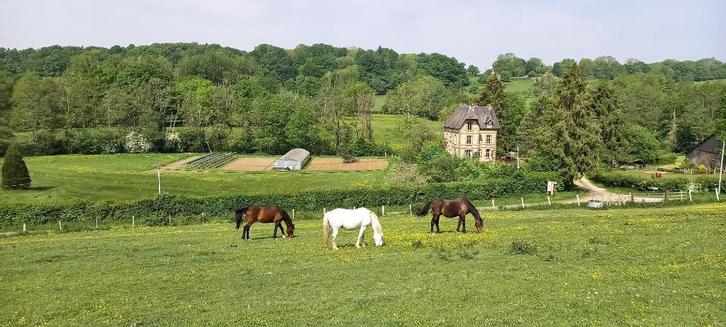 Prachtig maison de maitre met bedrijfsgebouwen in Normandie, Huizen en Kamers, Buitenland, Frankrijk, Overige soorten, Landelijk