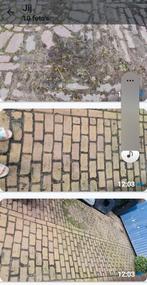 oude gebakken stenen, Doe-het-zelf en Verbouw, Tegels, Overige materialen, Gebruikt, Minder dan 20 cm, 10 m² of meer