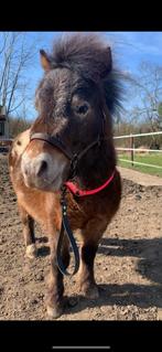 Biothane neckrope, Dieren en Toebehoren, Paarden en Pony's | Hoofdstellen en Tuigage, Nieuw, Ophalen of Verzenden